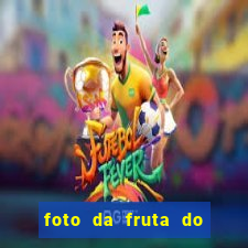 foto da fruta do blox fruits